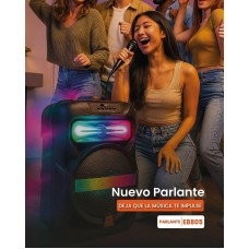 Platoon Pl-4361 Bt Usb Sd Aux 8 İnç Mikrofonlu Anfi Yüksek Ses Taşınabilir Rgb Işıklı Hoparlör