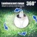 Güneş Enerjili USB Şarjlı LED Lamba - Egonex 5 Kanat