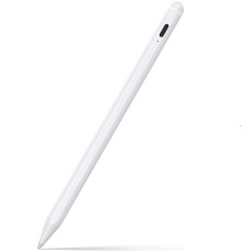 Ally Xpen-3I iPad (2018-2025) Titanyum Gövdeli Manyetik Şarjlı Aktif Kalem