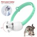 Kedi Eğlence Lazer Oyun Tasması